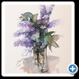 Lilas