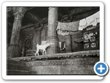 India III. Mario Parralejo. Fotografía 31x21 - 40,00 € con marco